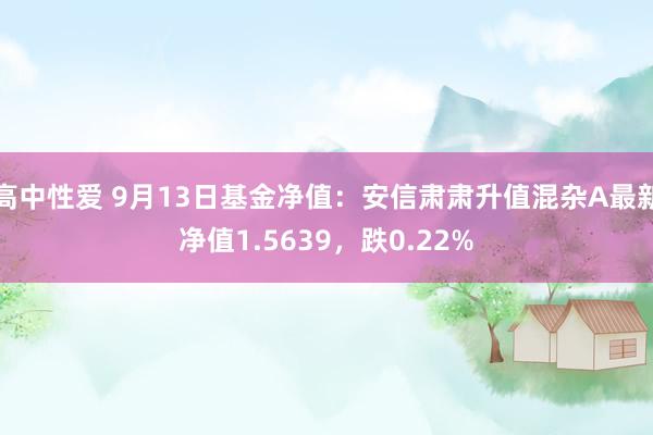 高中性爱 9月13日基金净值：安信肃肃升值混杂A最新净值1.5639，跌0.22%