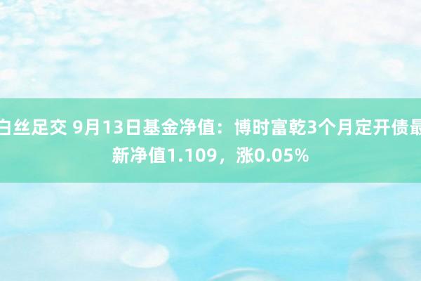 白丝足交 9月13日基金净值：博时富乾3个月定开债最新净值1.109，涨0.05%