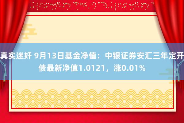 真实迷奸 9月13日基金净值：中银证券安汇三年定开债最新净值1.0121，涨0.01%