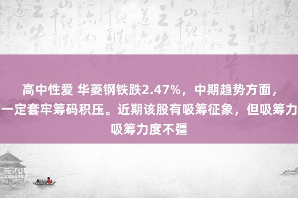 高中性爱 华菱钢铁跌2.47%，中期趋势方面，上方有一定套牢筹码积压。近期该股有吸筹征象，但吸筹力度不彊