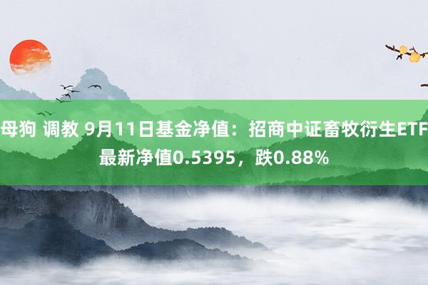 母狗 调教 9月11日基金净值：招商中证畜牧衍生ETF最新净值0.5395，跌0.88%