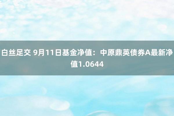 白丝足交 9月11日基金净值：中原鼎英债券A最新净值1.0644