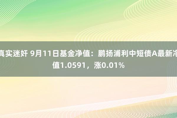 真实迷奸 9月11日基金净值：鹏扬浦利中短债A最新净值1.0591，涨0.01%