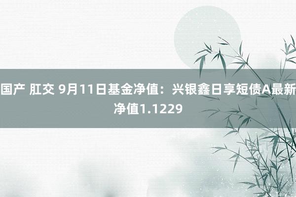 国产 肛交 9月11日基金净值：兴银鑫日享短债A最新净值1.1229