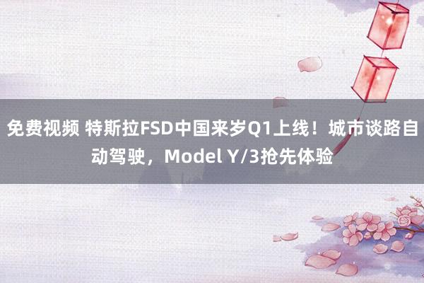 免费视频 特斯拉FSD中国来岁Q1上线！城市谈路自动驾驶，Model Y/3抢先体验