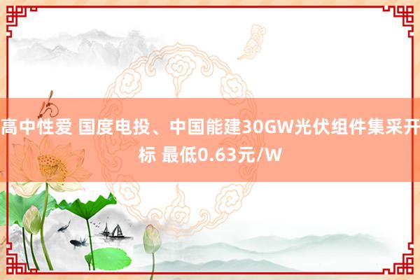 高中性爱 国度电投、中国能建30GW光伏组件集采开标 最低0.63元/W