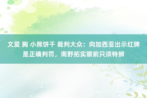 文爱 胸 小熊饼干 裁判大众：向加西亚出示红牌是正确判罚，南野拓实眼前只须特狮