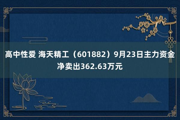 高中性爱 海天精工（601882）9月23日主力资金净卖出362.63万元