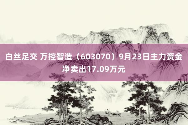 白丝足交 万控智造（603070）9月23日主力资金净卖出17.09万元