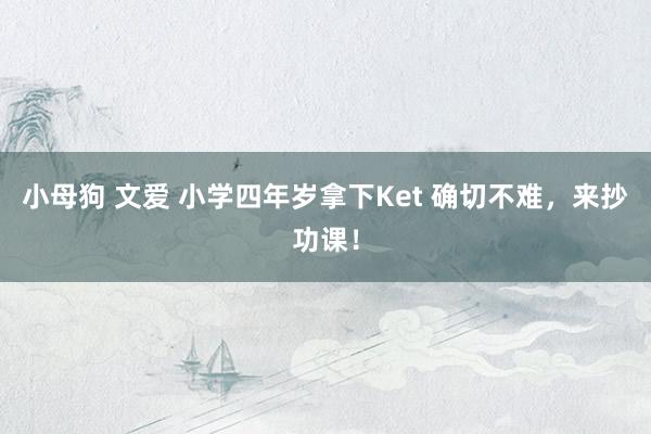 小母狗 文爱 小学四年岁拿下Ket 确切不难，来抄功课！