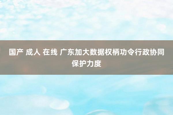 国产 成人 在线 广东加大数据权柄功令行政协同保护力度