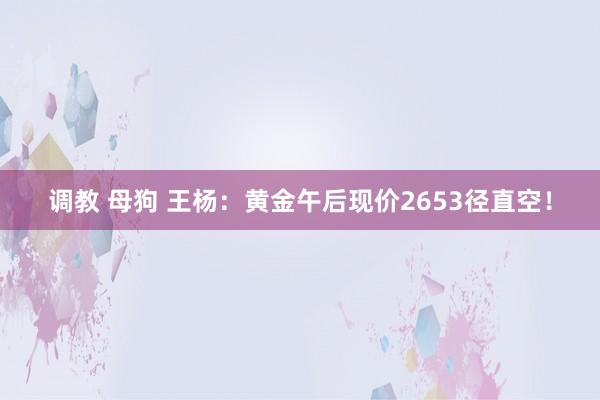 调教 母狗 王杨：黄金午后现价2653径直空！