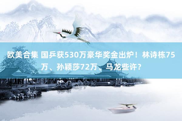 欧美合集 国乒获530万豪华奖金出炉！林诗栋75万、孙颖莎72万、马龙些许？