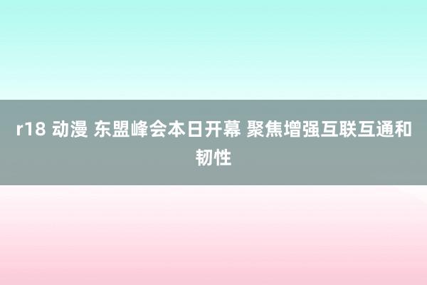 r18 动漫 东盟峰会本日开幕 聚焦增强互联互通和韧性