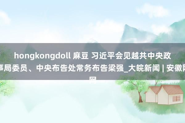 hongkongdoll 麻豆 习近平会见越共中央政事局委员、中央布告处常务布告梁强_大皖新闻 | 安徽网