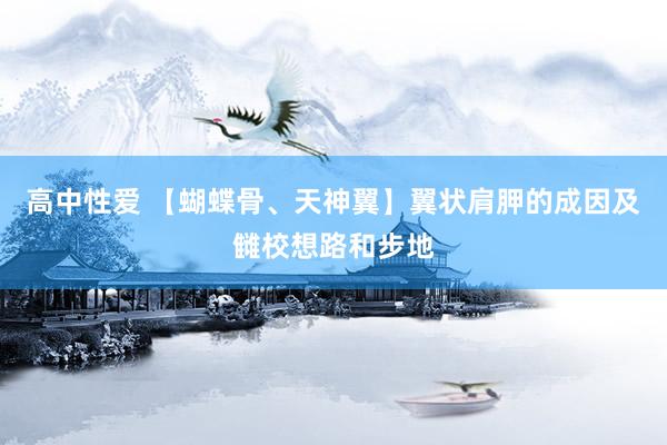 高中性爱 【蝴蝶骨、天神翼】翼状肩胛的成因及雠校想路和步地