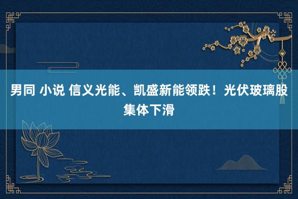 男同 小说 信义光能、凯盛新能领跌！光伏玻璃股集体下滑