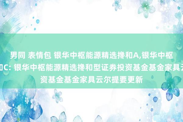 男同 表情包 银华中枢能源精选搀和A，银华中枢能源精选搀和C: 银华中枢能源精选搀和型证券投资基金基金家具云尔提要更新