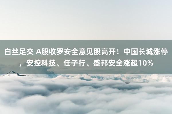 白丝足交 A股收罗安全意见股高开！中国长城涨停，安控科技、任子行、盛邦安全涨超10%