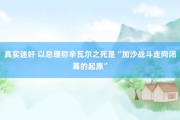 真实迷奸 以总理称辛瓦尔之死是“加沙战斗走向闭幕的起原”