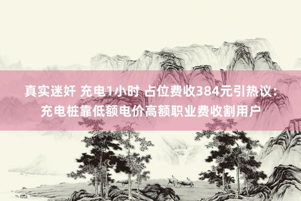 真实迷奸 充电1小时 占位费收384元引热议：充电桩靠低额电价高额职业费收割用户