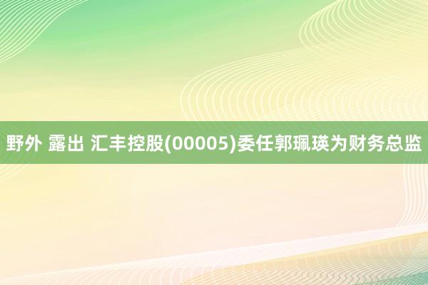 野外 露出 汇丰控股(00005)委任郭珮瑛为财务总监