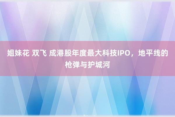 姐妹花 双飞 成港股年度最大科技IPO，地平线的枪弹与护城河