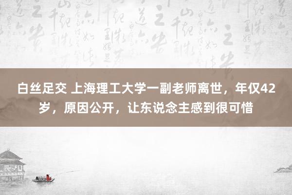 白丝足交 上海理工大学一副老师离世，年仅42岁，原因公开，让东说念主感到很可惜