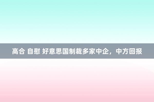 高合 自慰 好意思国制裁多家中企，中方回报