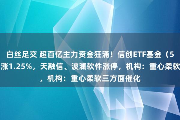 白丝足交 超百亿主力资金狂涌！信创ETF基金（562030）劲涨1.25%，天融信、波澜软件涨停，机构：重心柔软三方面催化