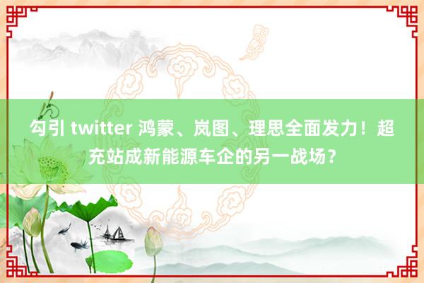 勾引 twitter 鸿蒙、岚图、理思全面发力！超充站成新能源车企的另一战场？