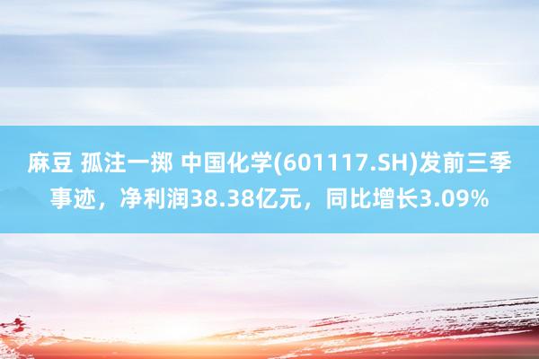 麻豆 孤注一掷 中国化学(601117.SH)发前三季事迹，净利润38.38亿元，同比增长3.09%