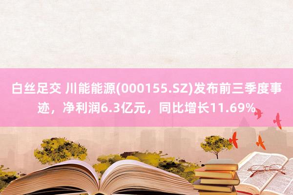 白丝足交 川能能源(000155.SZ)发布前三季度事迹，净利润6.3亿元，同比增长11.69%