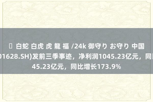 ✨白蛇 白虎 虎 龍 福 /24k 御守り お守り 中国东说念主寿(601628.SH)发前三季事迹，净利润1045.23亿元，同比增长173.9%