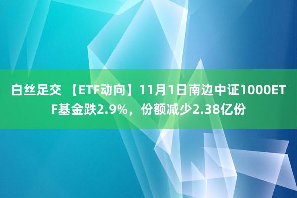 白丝足交 【ETF动向】11月1日南边中证1000ETF基金跌2.9%，份额减少2.38亿份