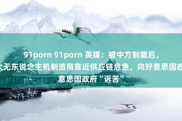 91porn 91porn 英媒：被中方制裁后，好意思最大无东说念主机制造商靠近供应链危急，向好意思国政府“诉苦”