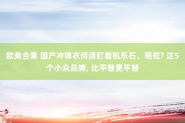 欧美合集 国产冲锋衣何须盯着凯乐石、骆驼? 这5个小众品牌， 比平替更平替