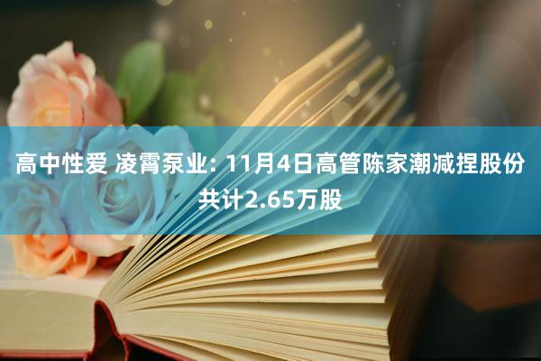 高中性爱 凌霄泵业: 11月4日高管陈家潮减捏股份共计2.65万股