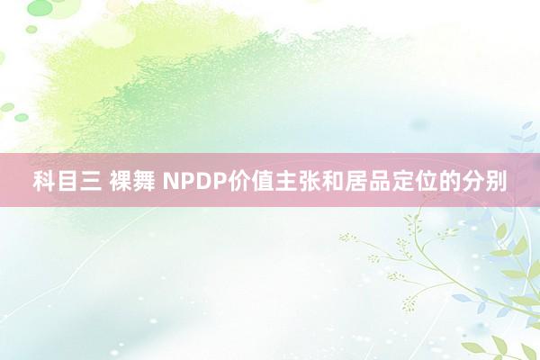 科目三 裸舞 NPDP价值主张和居品定位的分别