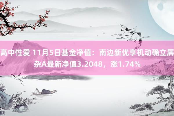 高中性爱 11月5日基金净值：南边新优享机动确立羼杂A最新净值3.2048，涨1.74%