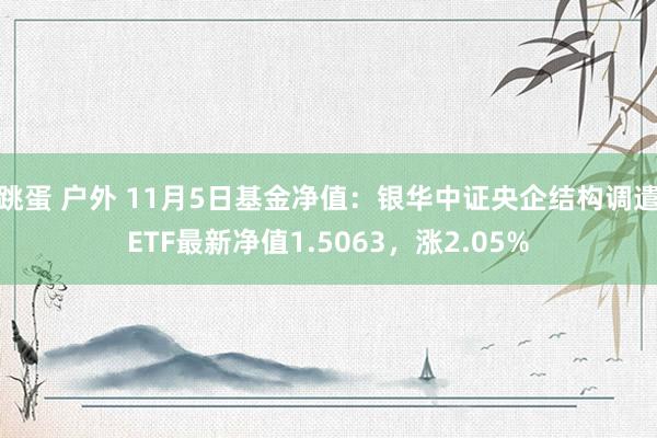 跳蛋 户外 11月5日基金净值：银华中证央企结构调遣ETF最新净值1.5063，涨2.05%