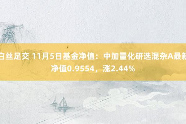 白丝足交 11月5日基金净值：中加量化研选混杂A最新净值0.9554，涨2.44%