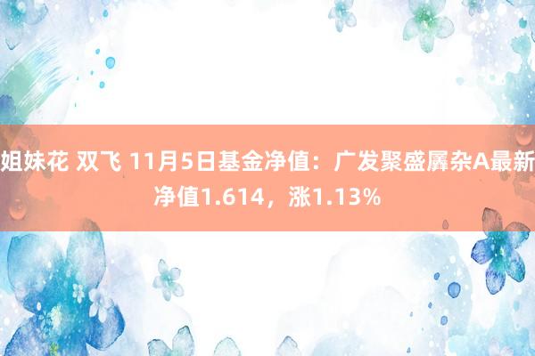 姐妹花 双飞 11月5日基金净值：广发聚盛羼杂A最新净值1.614，涨1.13%