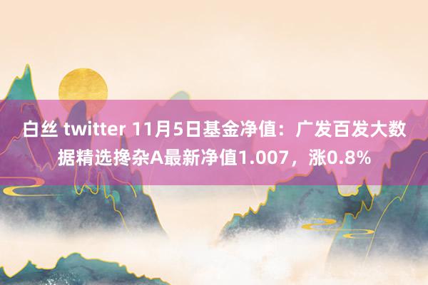 白丝 twitter 11月5日基金净值：广发百发大数据精选搀杂A最新净值1.007，涨0.8%