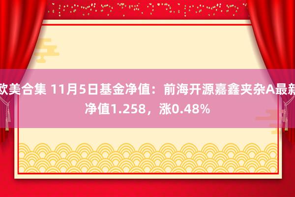 欧美合集 11月5日基金净值：前海开源嘉鑫夹杂A最新净值1.258，涨0.48%