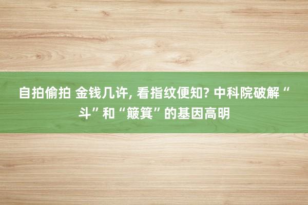 自拍偷拍 金钱几许， 看指纹便知? 中科院破解“斗”和“簸箕”的基因高明