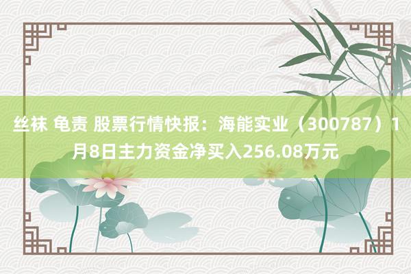 丝袜 龟责 股票行情快报：海能实业（300787）1月8日主力资金净买入256.08万元