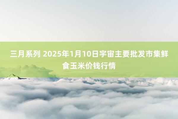 三月系列 2025年1月10日宇宙主要批发市集鲜食玉米价钱行情