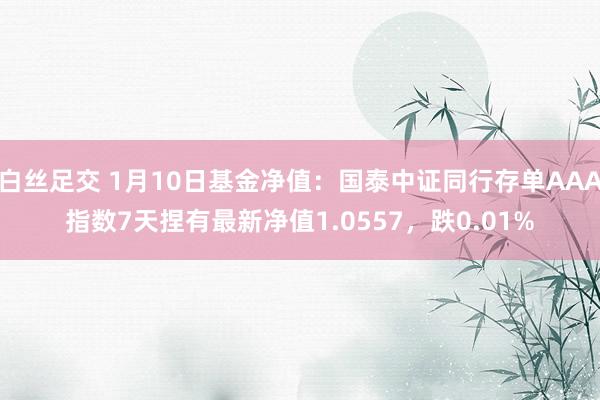 白丝足交 1月10日基金净值：国泰中证同行存单AAA指数7天捏有最新净值1.0557，跌0.01%