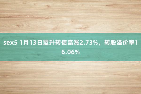 sex5 1月13日盟升转债高涨2.73%，转股溢价率16.06%